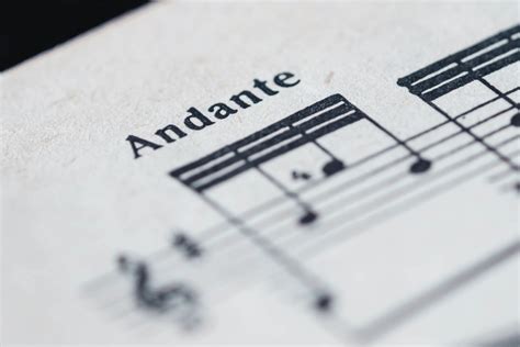 andante meaning music: The Symphony of Words and the Melody of Life